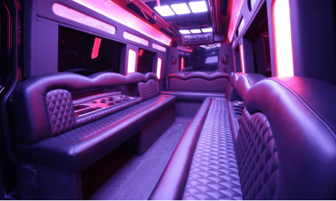 Bakersfield 14 Passenger Sprinter Bus Interior